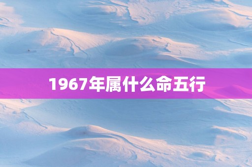 1967年属什么命五行