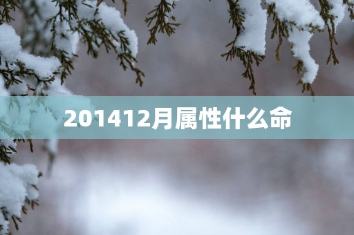 201412月属性什么命