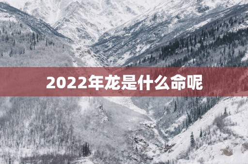 2025年龙是什么命呢