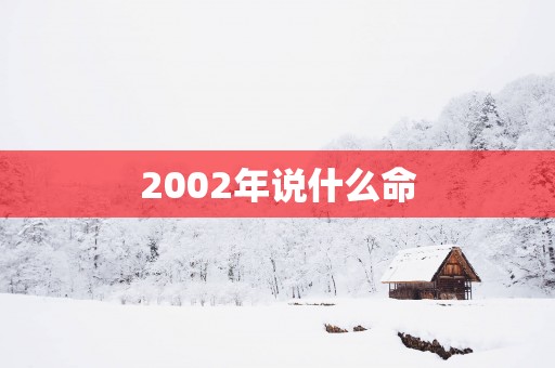 2002年说什么命