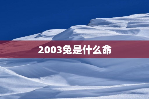 2003兔是什么命