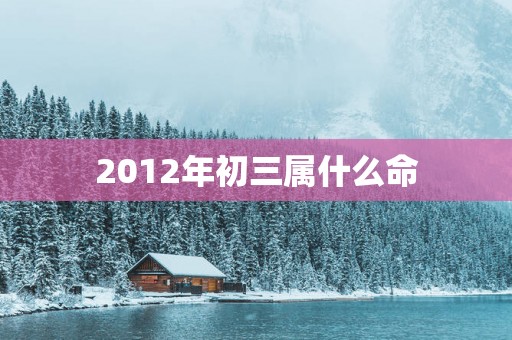 2012年初三属什么命