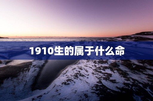 1910生的属于什么命