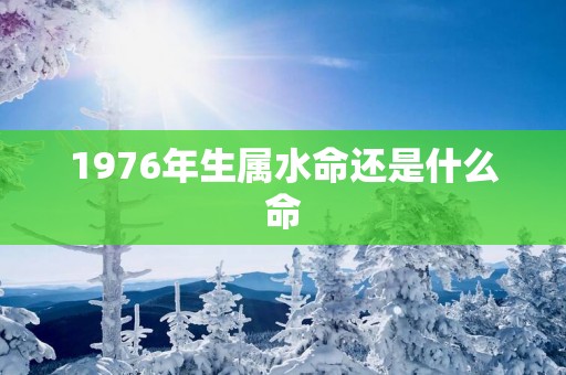 1976年生属水命还是什么命