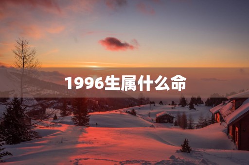 1996生属什么命