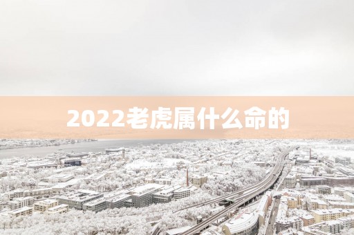 2025老虎属什么命的