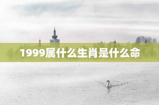 1999属什么生肖是什么命