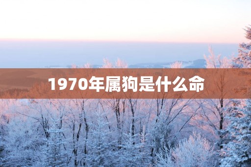 1970年属狗是什么命