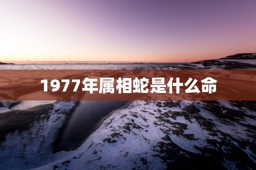 1977年属相蛇是什么命