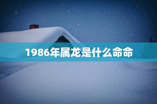 1986年属龙是什么命命