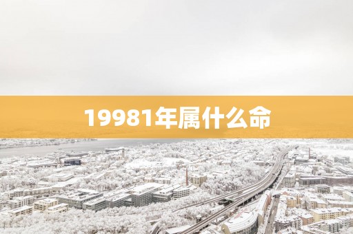 19981年属什么命