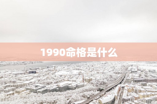 1990命格是什么