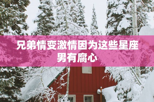 兄弟情变激情因为这些星座男有腐心