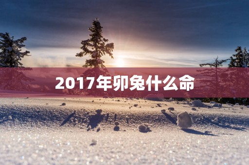 2017年卯兔什么命