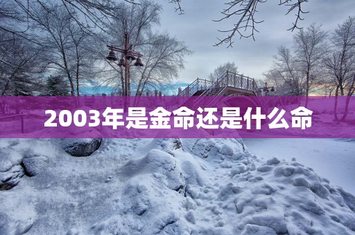 2003年是金命还是什么命