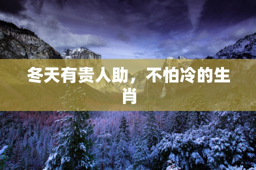 冬天有贵人助，不怕冷的生肖
