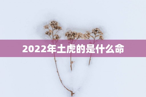 2025年土虎的是什么命