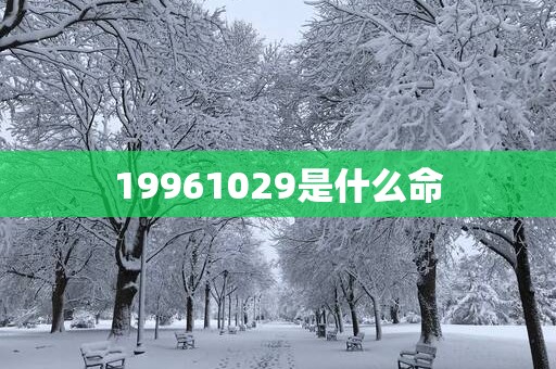 19961029是什么命