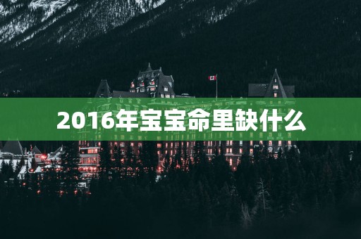 2016年宝宝命里缺什么