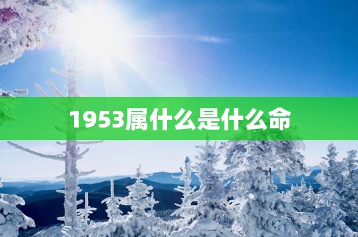 1953属什么是什么命