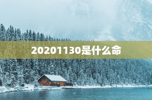 20251130是什么命