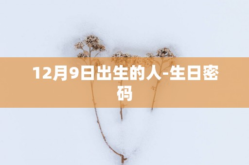 12月9日出生的人-生日密码