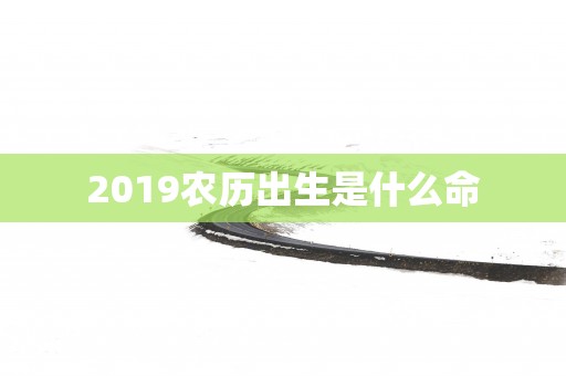 2019农历出生是什么命