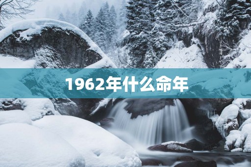 1962年什么命年