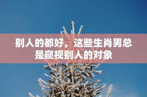 别人的都好，这些生肖男总是窥视别人的对象