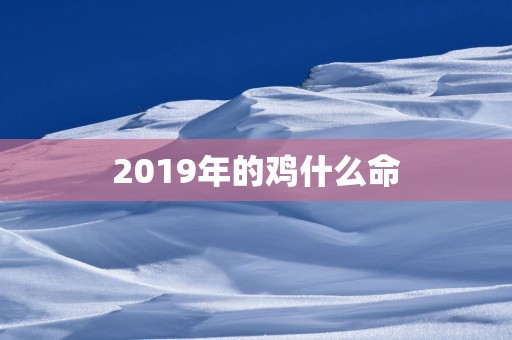 2019年的鸡什么命