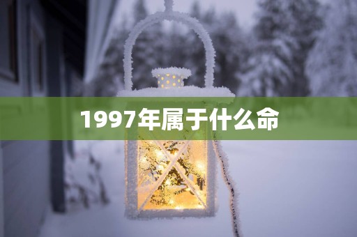 1997年属于什么命