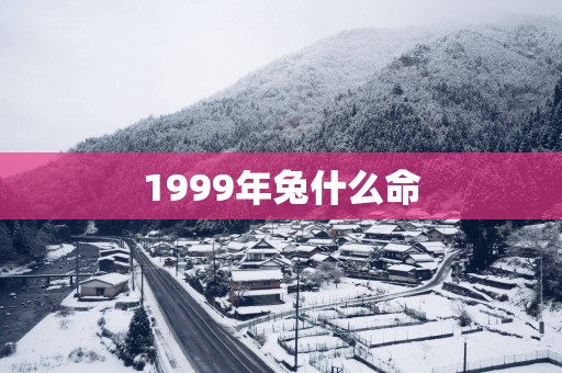 1999年兔什么命