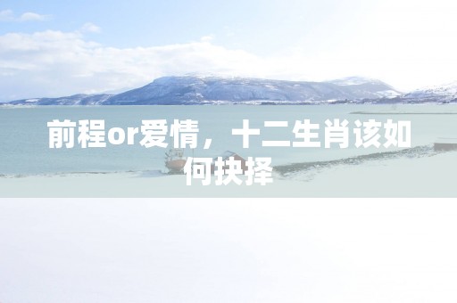 前程or爱情，十二生肖该如何抉择