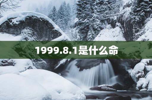 1999.8.1是什么命