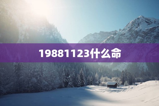 19881123什么命