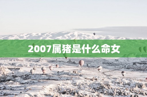 2007属猪是什么命女