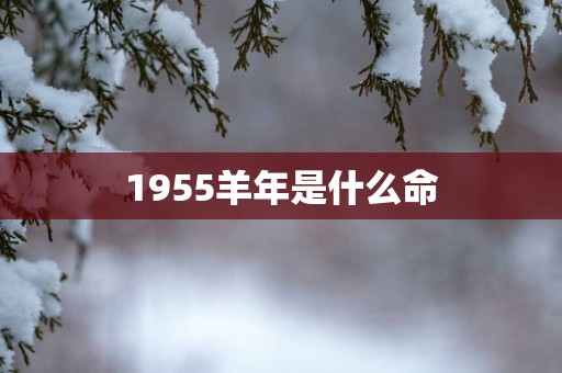 1955羊年是什么命