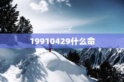 19910429什么命