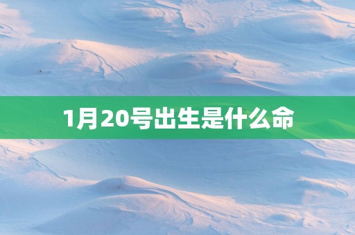 1月20号出生是什么命