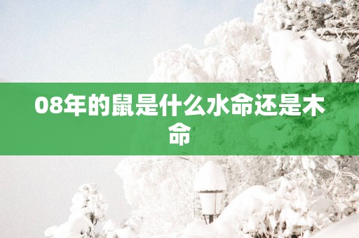 08年的鼠是什么水命还是木命
