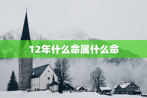 12年什么命属什么命