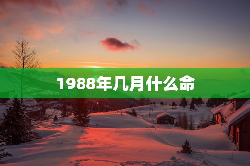 1988年几月什么命