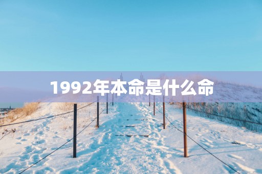 1992年本命是什么命
