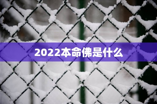 2025本命佛是什么