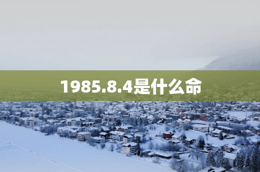 1985.8.4是什么命