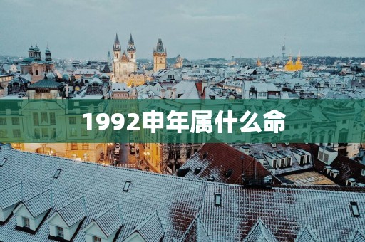 1992申年属什么命