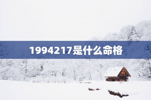 1994217是什么命格