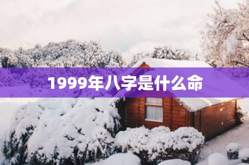 1999年八字是什么命