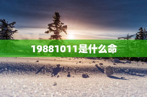 19881011是什么命