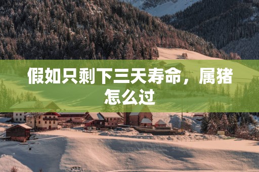 假如只剩下三天寿命,属猪怎么过 假如只剩下三天寿命,属猪怎么过